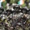 Ivory Coast’s special force soldiers participate in a military parade to commemorate the country’s 55th Independence Day in Abidjan