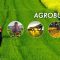 agrobusiness-1-1