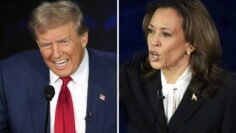 donald-trump-et-kamala-harris-se-sont-invectives-cette-nuit-durant-un-debat-de-90-minutes-photos-sipa-ap-alex-brandon-1726037646