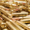 Pile of golden rifle cartridges